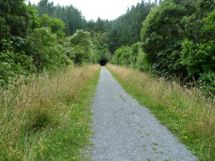 
Approaching Mangaroa Tunnel from the West, January 2013